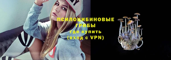 спайс Абинск