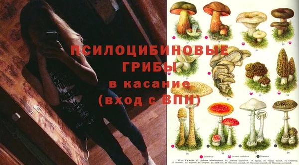 гидропоника Алексеевка