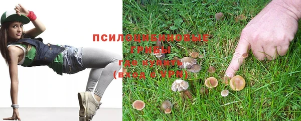 дурь Алзамай