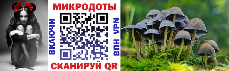 Галлюциногенные грибы Psilocybe  Усолье-Сибирское 
